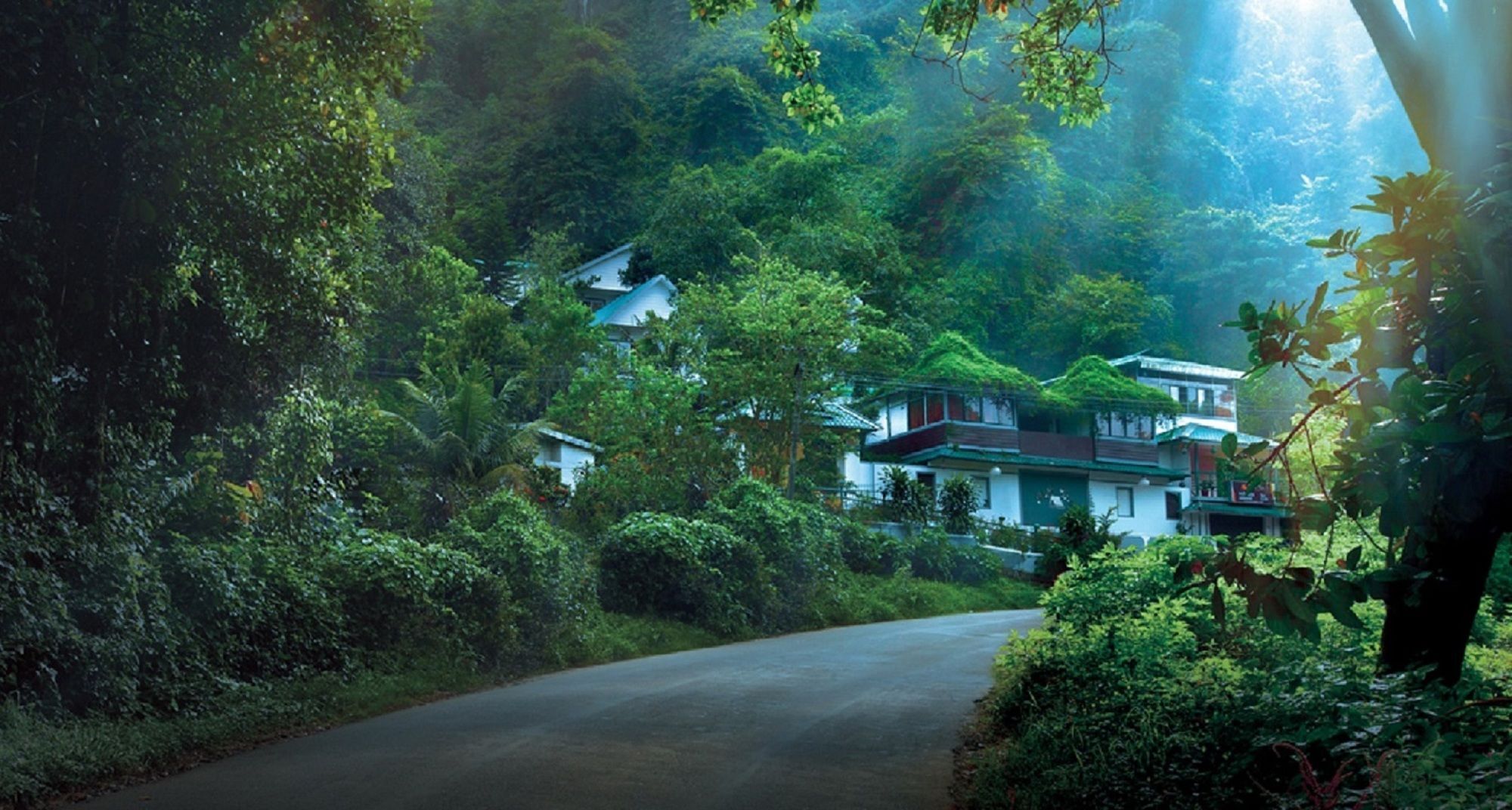 Bellavista Resort Munnar Eksteriør billede