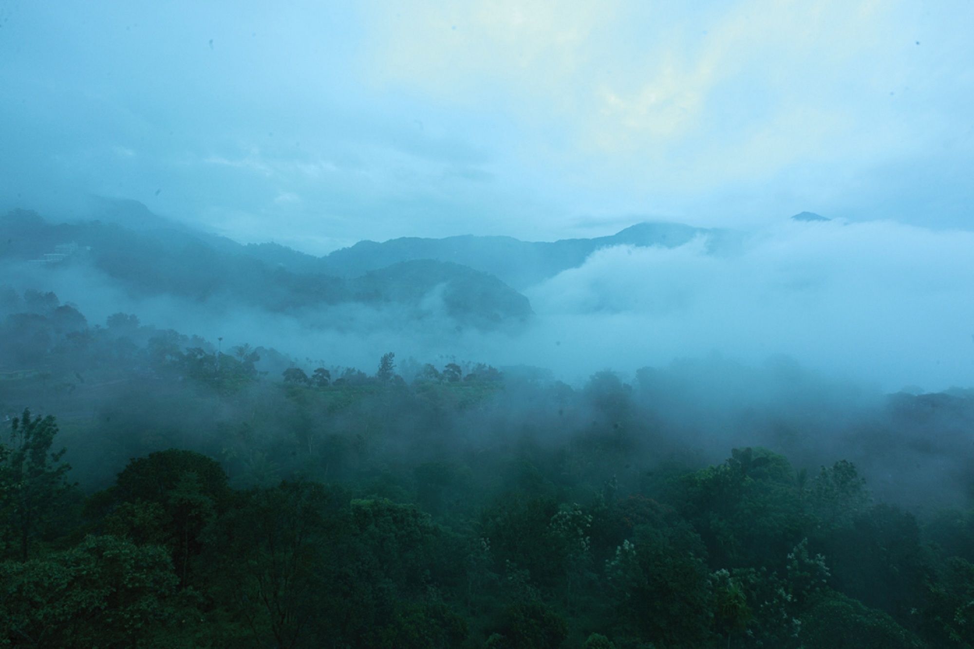 Bellavista Resort Munnar Eksteriør billede