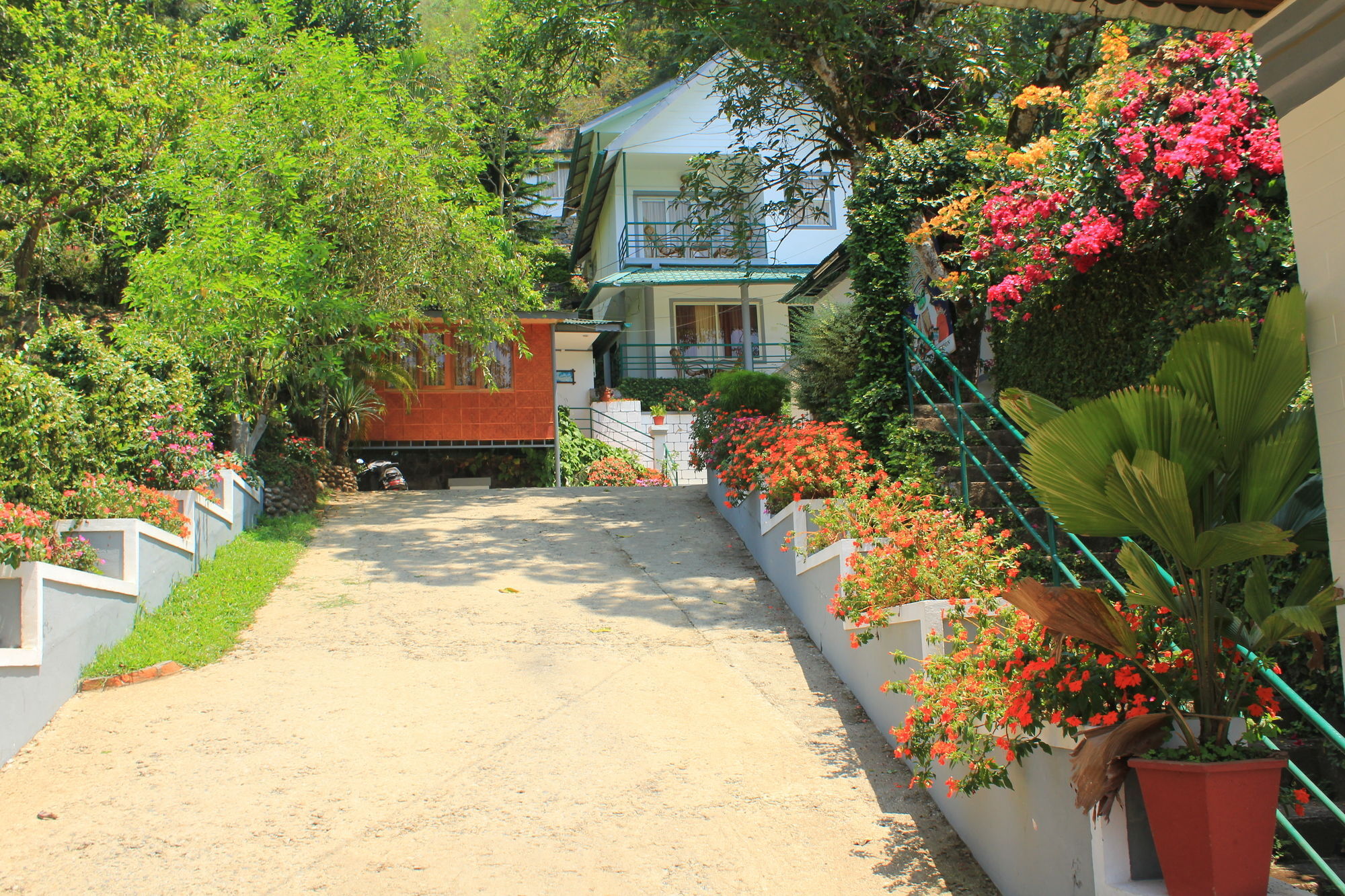 Bellavista Resort Munnar Eksteriør billede